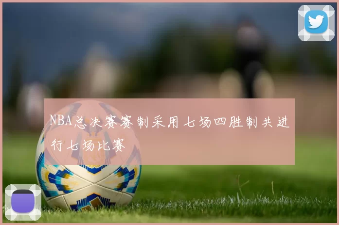 NBA总决赛赛制采用七场四胜制共进行七场比赛